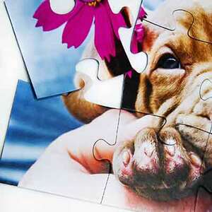 Fotopuzzel 12 stukjes - €  15.57
