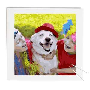 Schilderen op nummer 50x50-DIY Frame - 50 x 50 cm