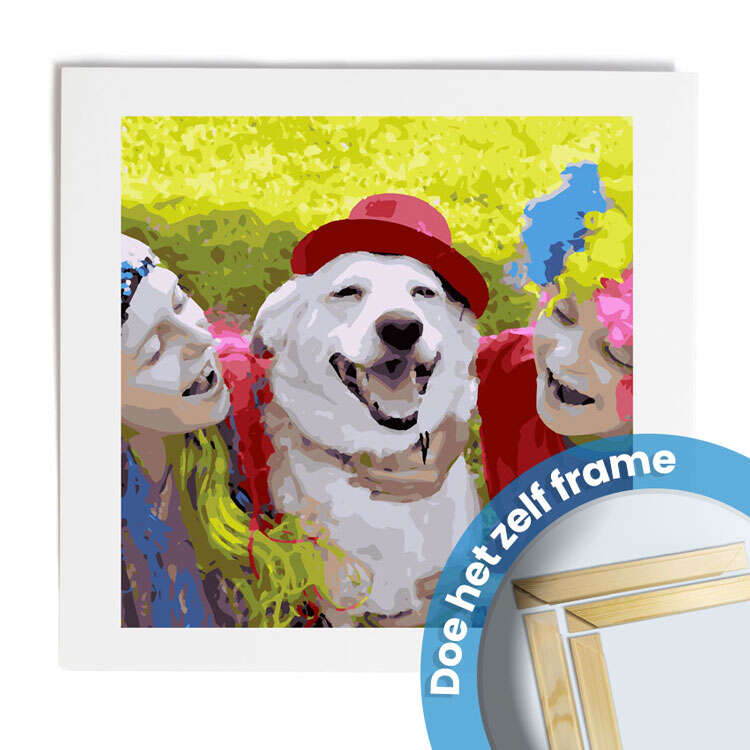 Schilderen op nummer 50x50-DIY Frame